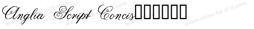 Anglia Script Concis字体转换